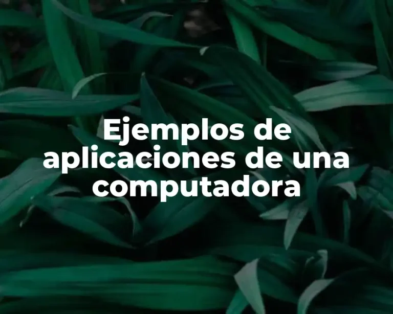 Ejemplos de aplicaciones de una computadora
