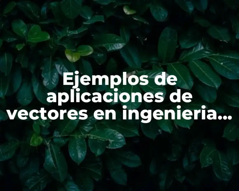 Ejemplos de aplicaciones de vectores en ingenieria civil
