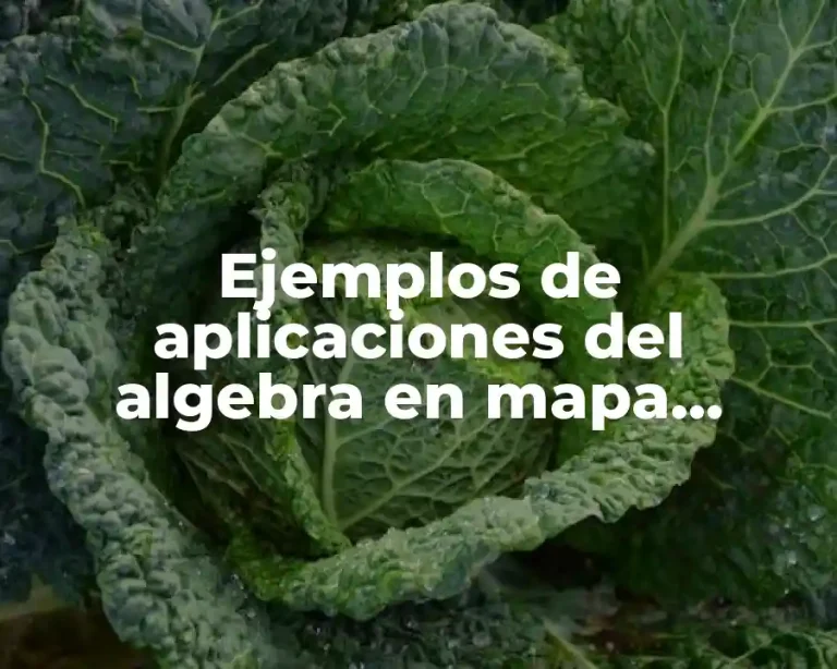 Ejemplos de aplicaciones del algebra en mapa mental