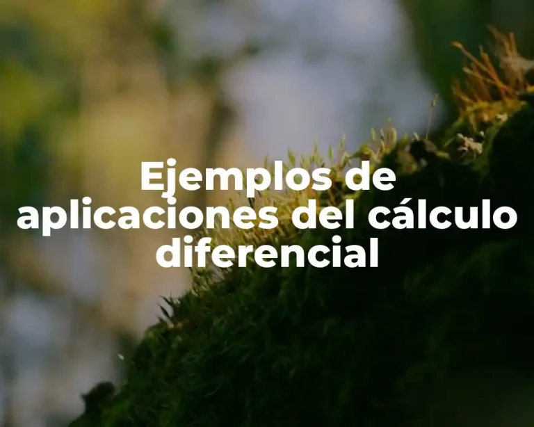 Ejemplos de aplicaciones del cálculo diferencial