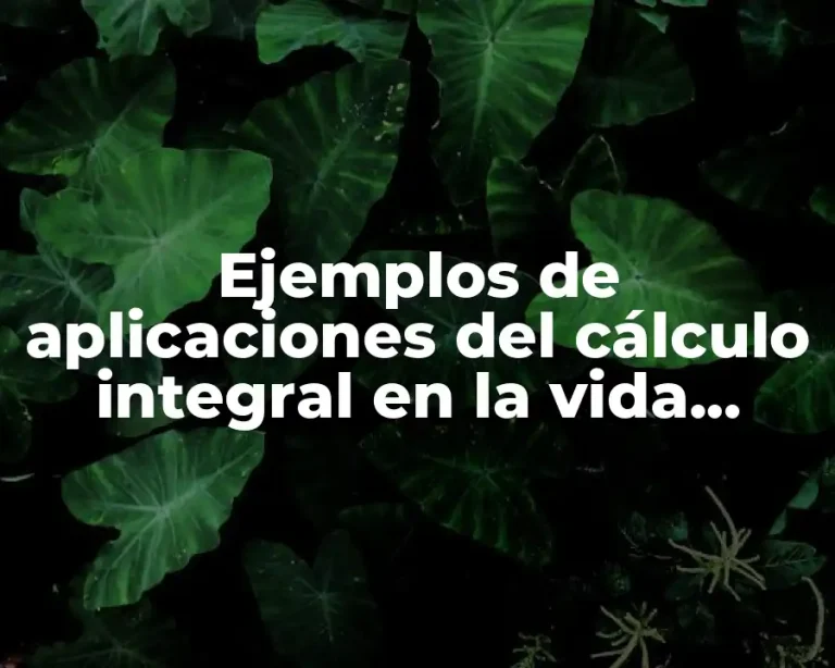 Ejemplos de aplicaciones del cálculo integral en la vida cotidiana