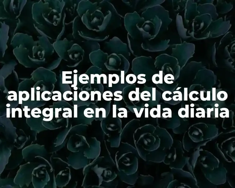 Ejemplos de aplicaciones del cálculo integral en la vida diaria