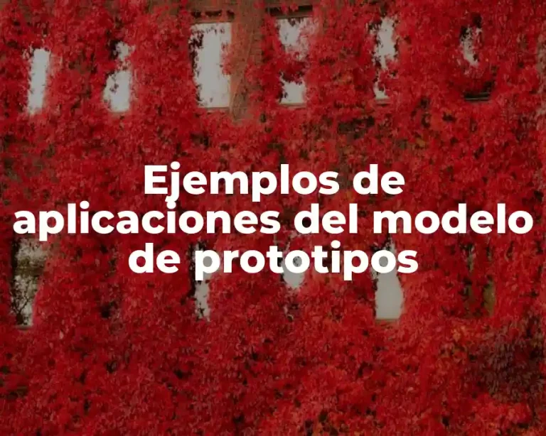 Ejemplos de aplicaciones del modelo de prototipos