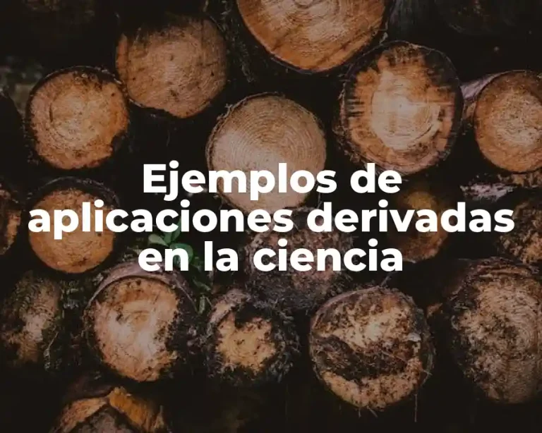 Ejemplos de aplicaciones derivadas en la ciencia