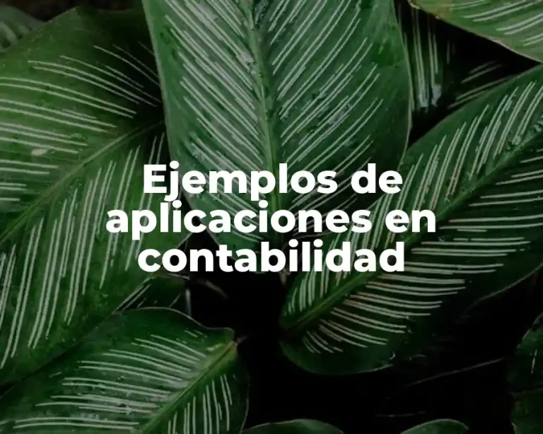 Ejemplos de aplicaciones en contabilidad