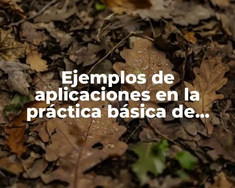 Ejemplos de aplicaciones en la práctica básica de evidencias