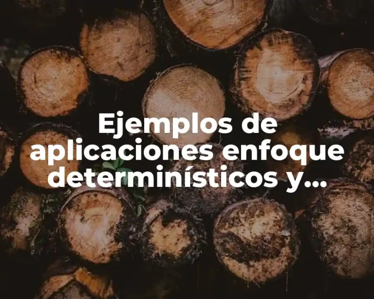 Ejemplos de aplicaciones enfoque determinísticos y Significado