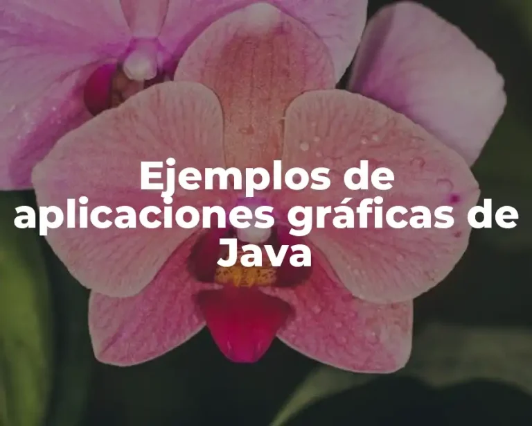 Ejemplos de aplicaciones gráficas de Java