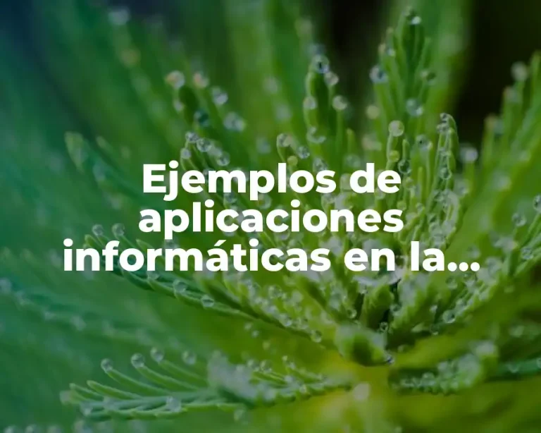 Ejemplos de aplicaciones informáticas en la administración pública y Significado