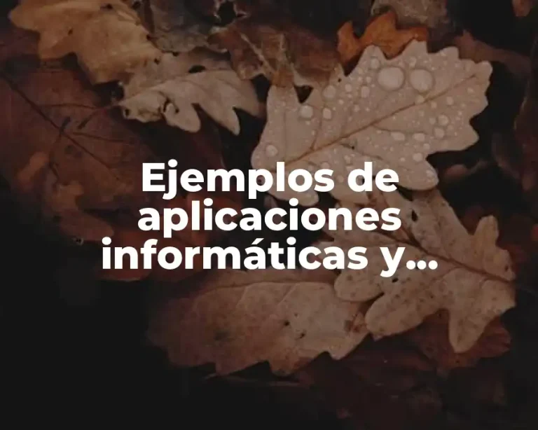 Ejemplos de aplicaciones informáticas y Significado