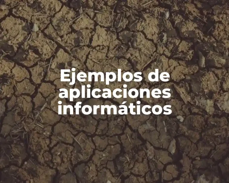 Ejemplos de aplicaciones informáticos