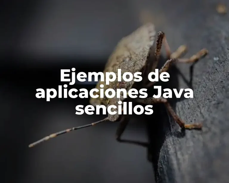 Ejemplos de aplicaciones Java sencillos