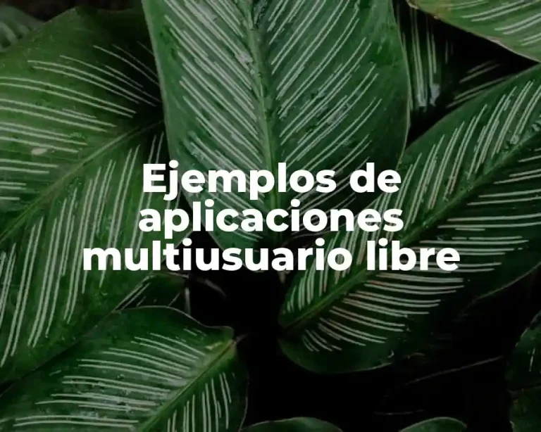 Ejemplos de aplicaciones multiusuario libre