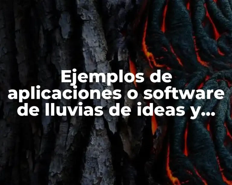 Ejemplos de aplicaciones o software de lluvias de ideas y Significado