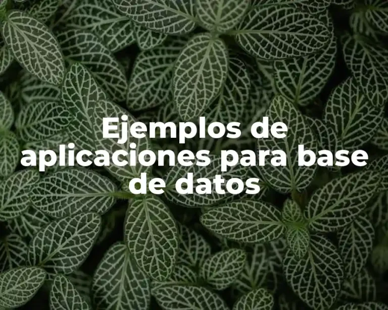 Ejemplos de aplicaciones para base de datos