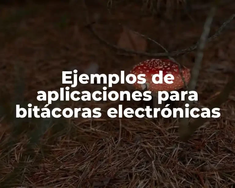 Ejemplos de aplicaciones para bitácoras electrónicas