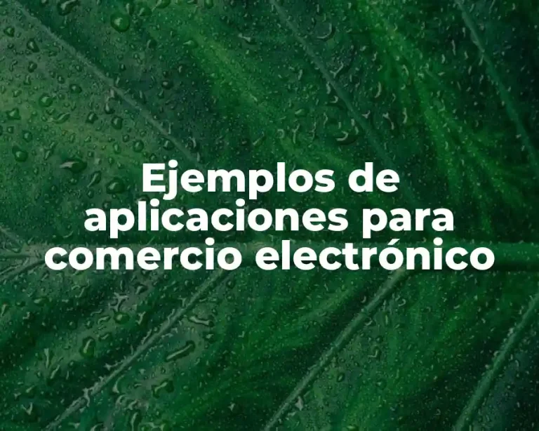 Ejemplos de aplicaciones para comercio electrónico
