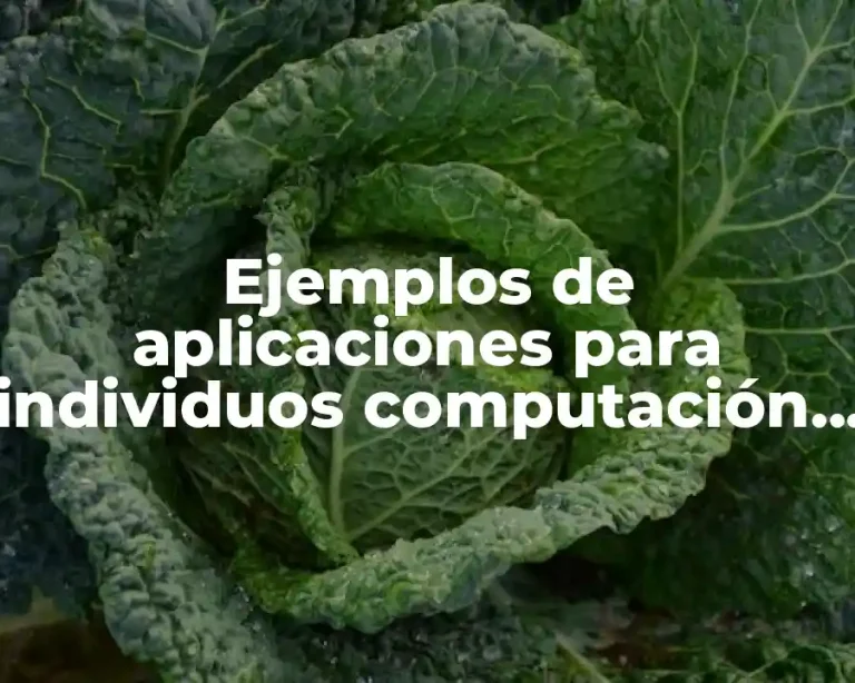 Ejemplos de aplicaciones para individuos computación Google Academic o
