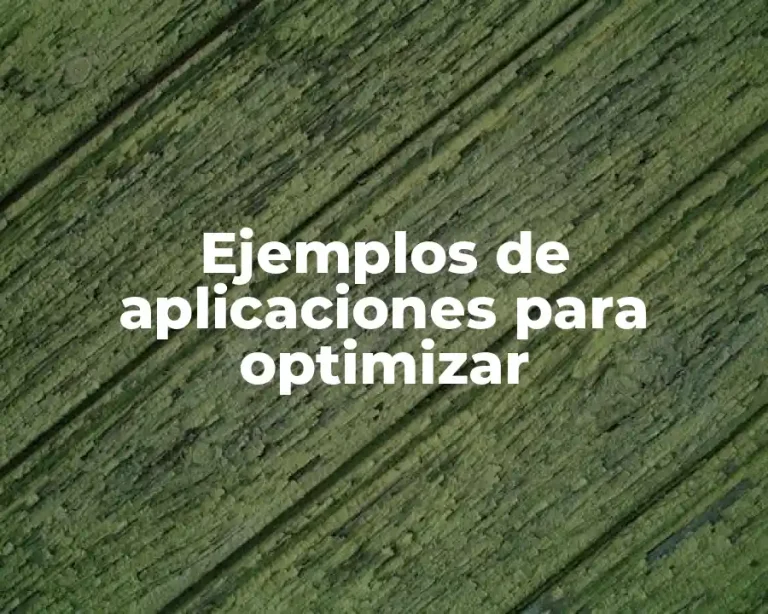 Ejemplos de aplicaciones para optimizar