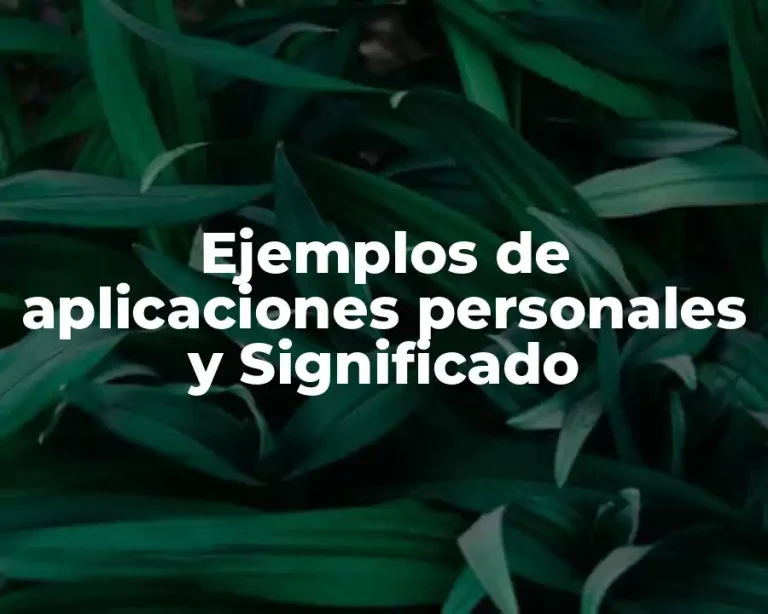 Ejemplos de aplicaciones personales y Significado