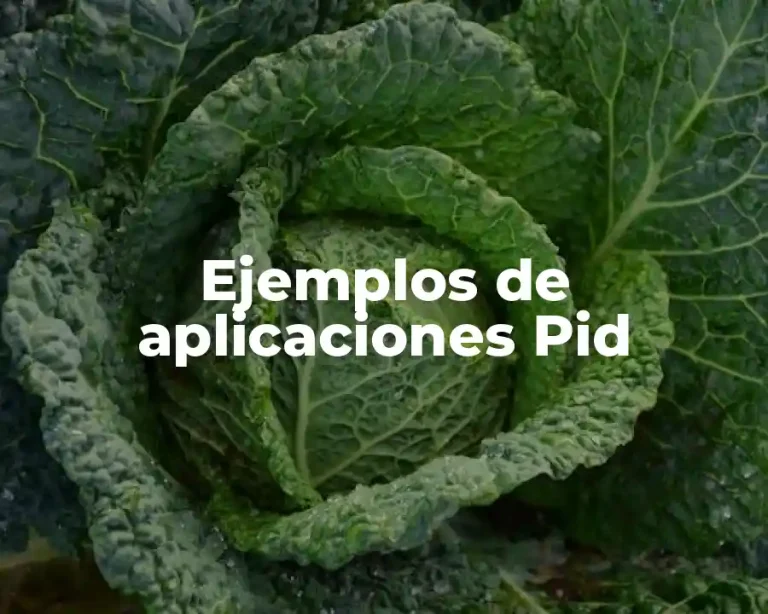 Ejemplos de aplicaciones Pid
