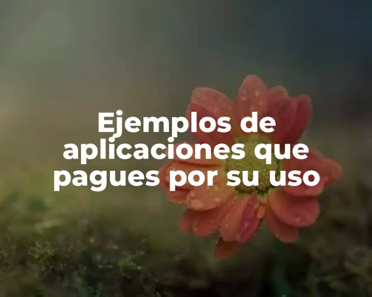 Ejemplos de aplicaciones que pagues por su uso