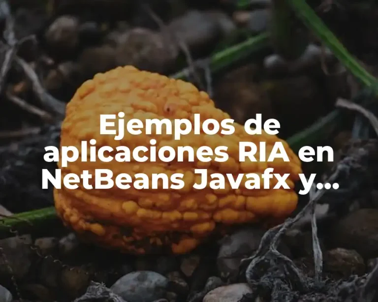 Ejemplos de aplicaciones RIA en NetBeans Javafx y Significado