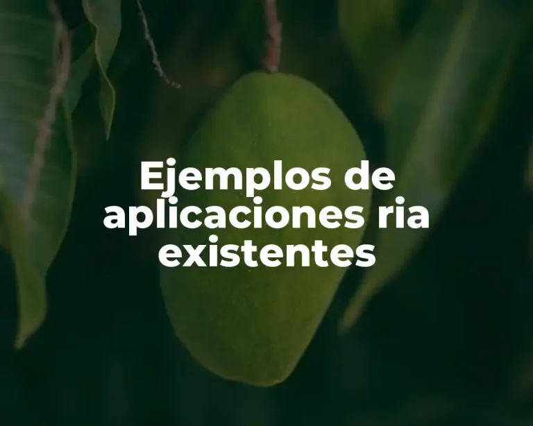 Ejemplos de aplicaciones ria existentes