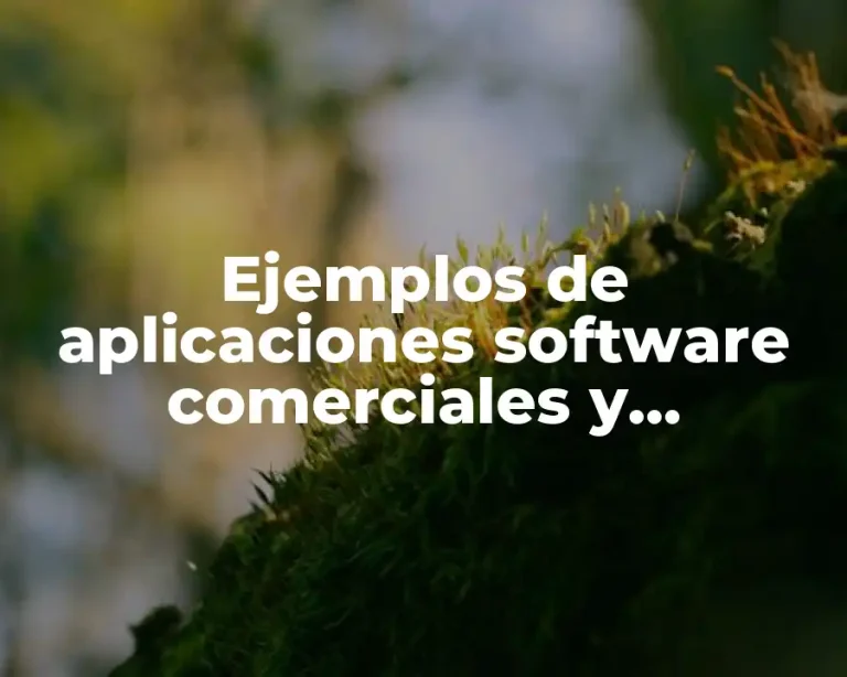 Ejemplos de aplicaciones software comerciales y Significado