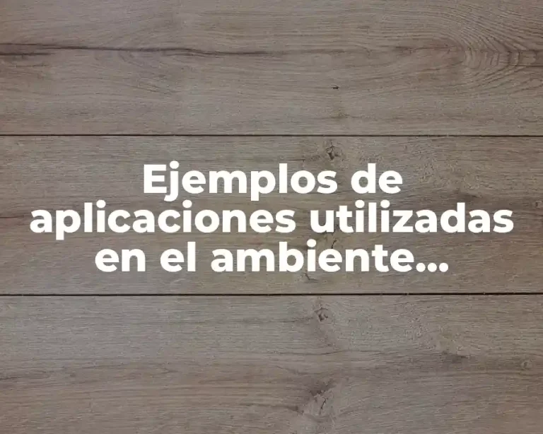 Ejemplos de aplicaciones utilizadas en el ambiente empresarial y Significado