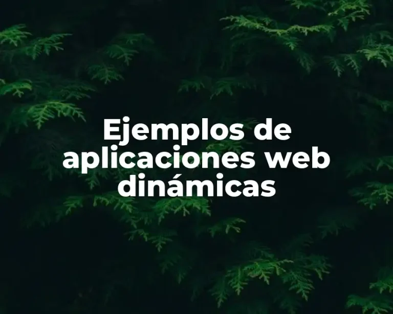 Ejemplos de aplicaciones web dinámicas