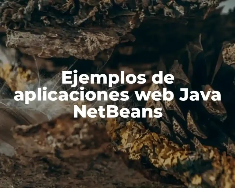 Ejemplos de aplicaciones web Java NetBeans
