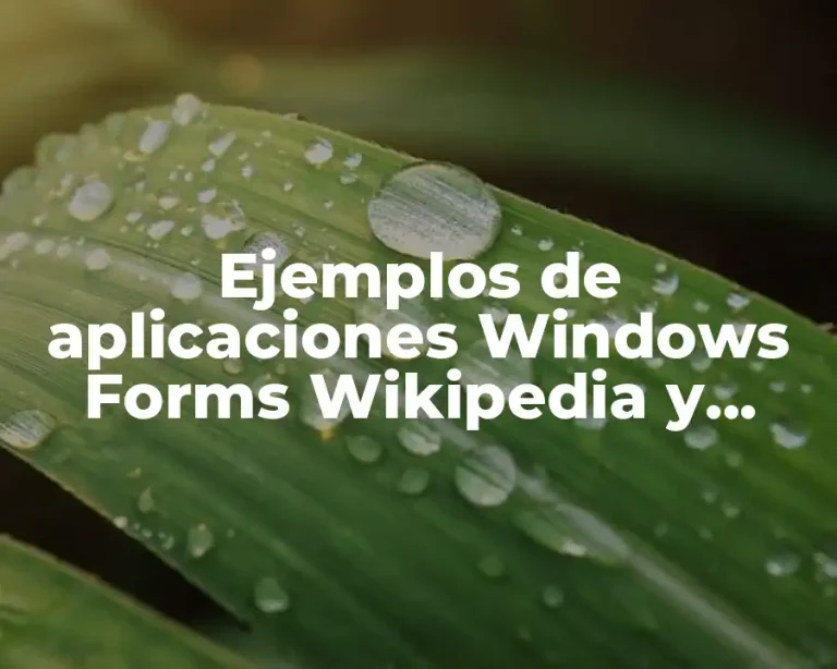 Ejemplos de aplicaciones Windows Forms Wikipedia y Significado