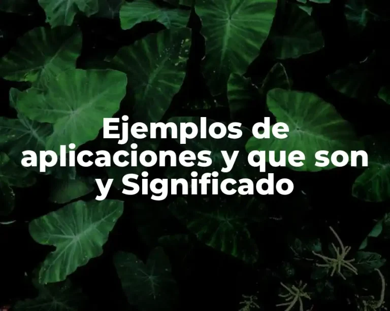 Ejemplos de aplicaciones y que son y Significado