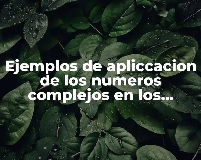 Ejemplos de apliccacion de los numeros complejos en los alimentos