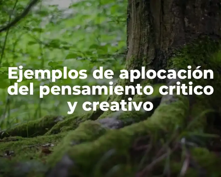 Ejemplos de aplocación del pensamiento critico y creativo