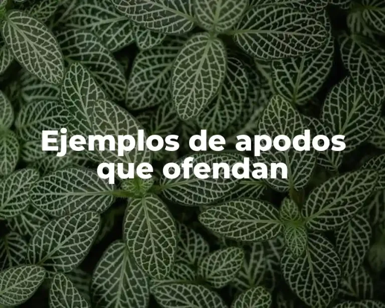 Ejemplos de apodos que ofendan