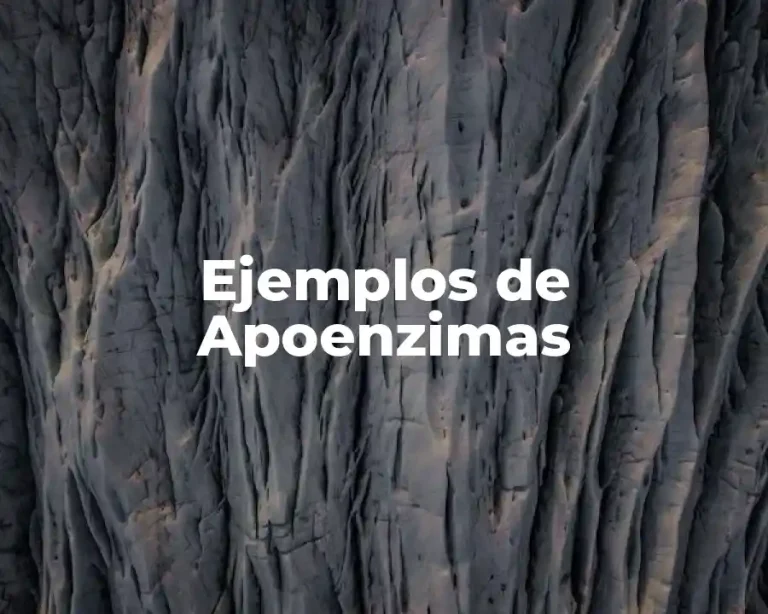 Ejemplos de Apoenzimas