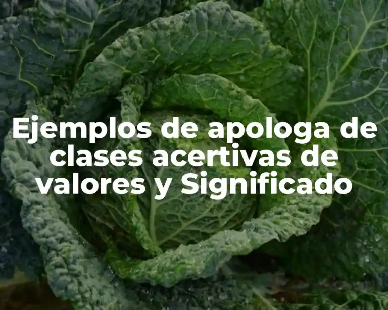 Ejemplos de apologa de clases acertivas de valores y Significado