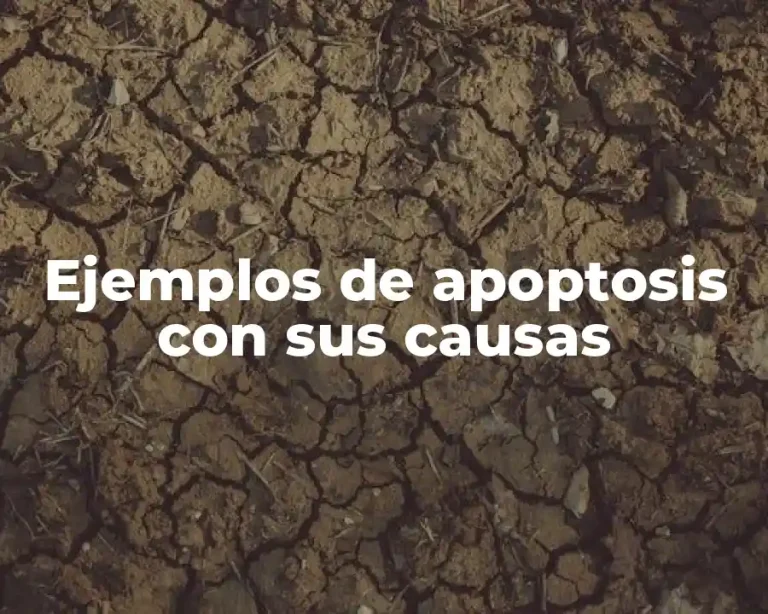 Ejemplos de apoptosis con sus causas