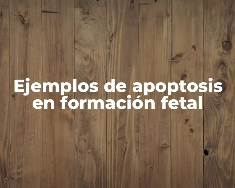 Ejemplos de apoptosis en formación fetal