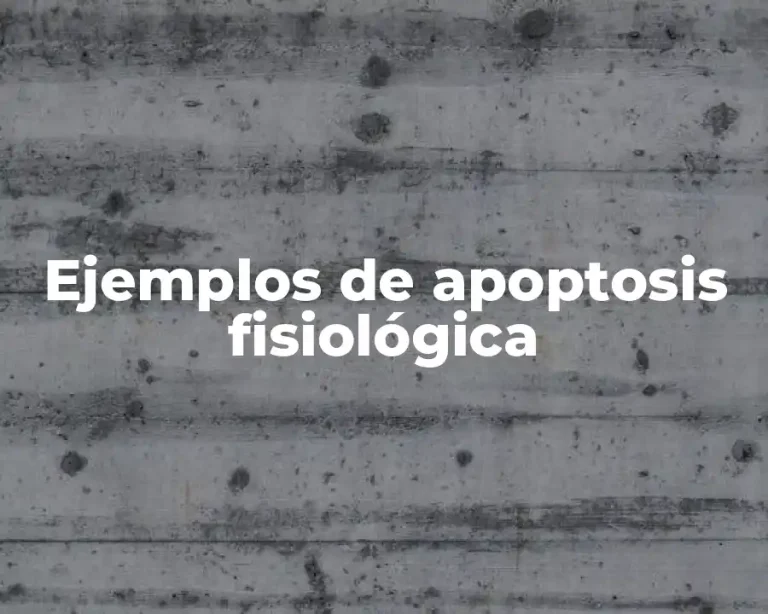 Ejemplos de apoptosis fisiológica