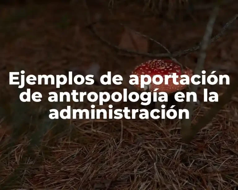 Ejemplos de aportación de antropología en la administración