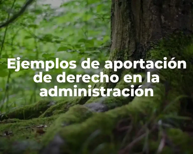 Ejemplos de aportación de derecho en la administración