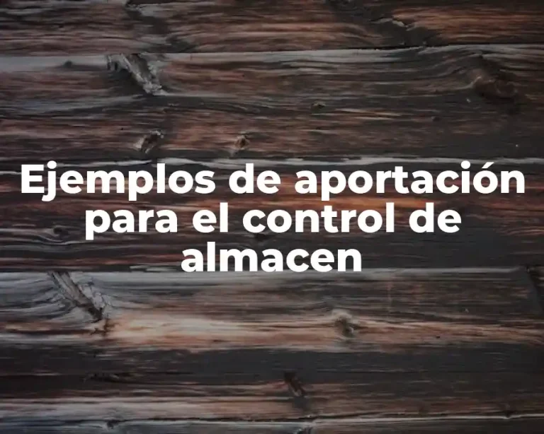 Ejemplos de aportación para el control de almacen