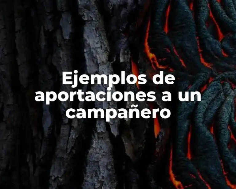 Ejemplos de aportaciones a un campañero