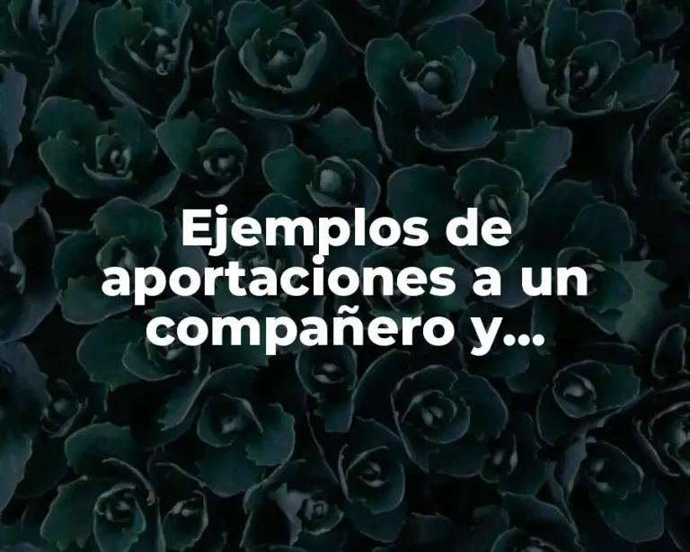 Ejemplos de aportaciones a un compañero y Significado