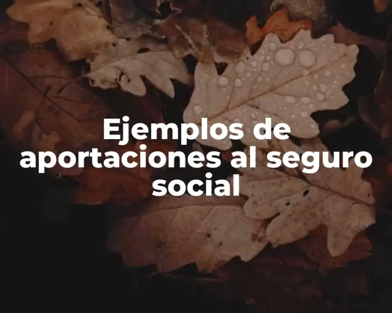 Ejemplos de aportaciones al seguro social