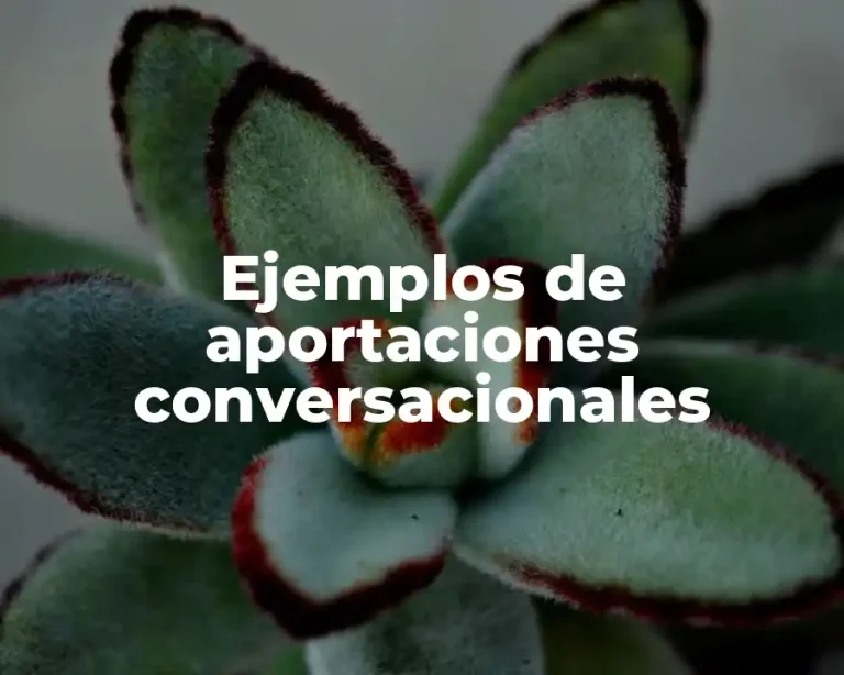Ejemplos de aportaciones conversacionales