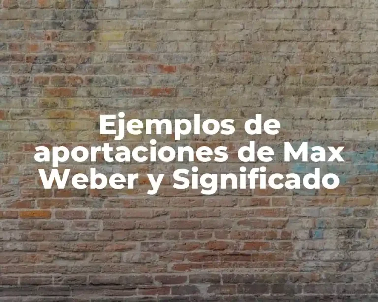 Ejemplos de aportaciones de Max Weber y Significado